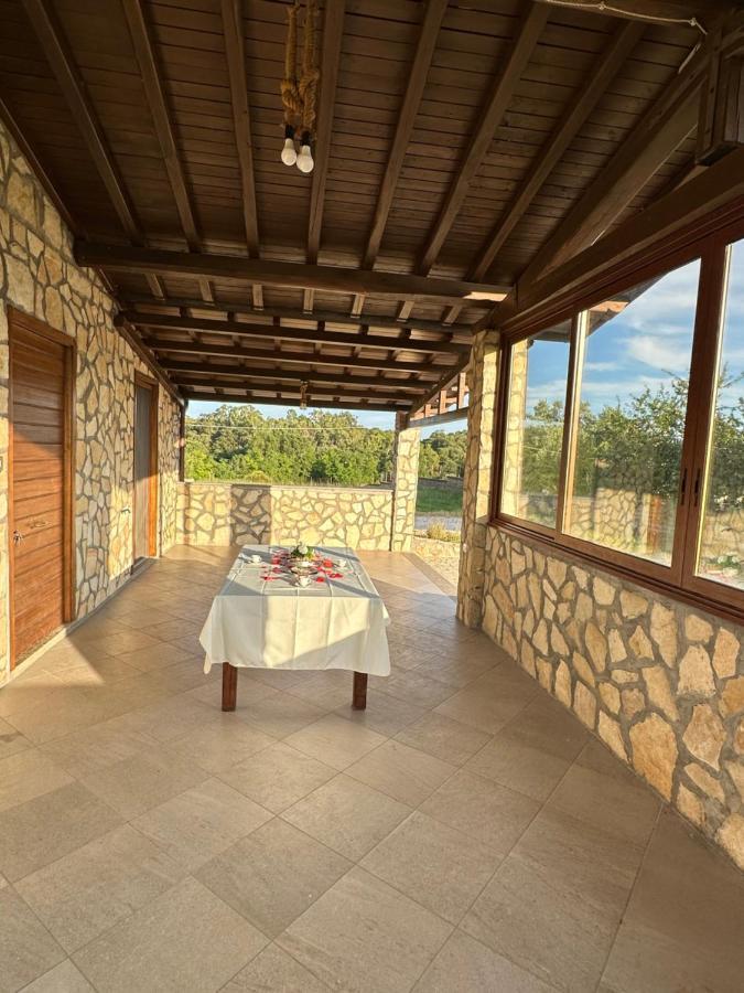 Villa Tuscia Apartments 투스카니아 외부 사진